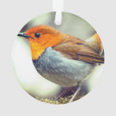 Personalisiertes Custom Robin Bird-Foto Ornament (Rückseite)