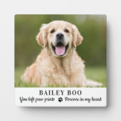 Personalisiertes Dog-Memorial-Geschenk Benutzerdef Fotoplatte (Vorderseite)