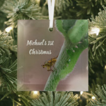 Personalisiertes Dung Fly Foto Weihnachtsbaumschmu