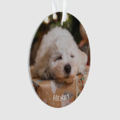 Personalisiertes Erstellen eines eigenen Fotos Ornament (Vorderseite)