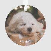 Personalisiertes Erstellen eines eigenen Fotos Ornament (Rückseite)