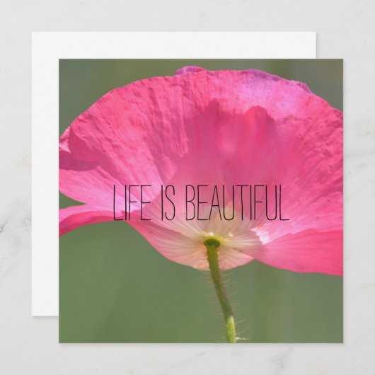 Personalisiertes Foto (Vorne/Hinten)