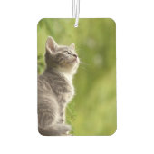 Personalisiertes Foto Autolufterfrischer (Rückseite)