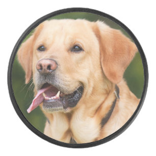 Personalisiertes Foto für Haustiere Eishockey Puck