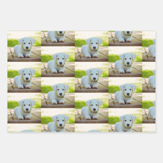 Personalisiertes Foto für Haustiere Geschenkpapier Set (Vorderseite)