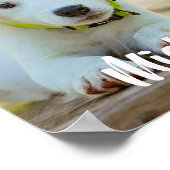 Personalisiertes Foto für Haustiere Poster (Ecke)