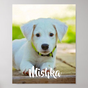 Personalisiertes Foto für Haustiere Poster