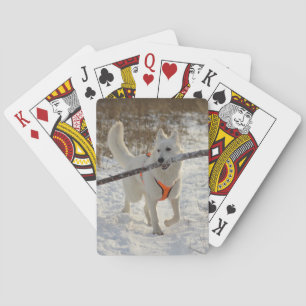 Personalisiertes Foto für Haustiere Spielkarten