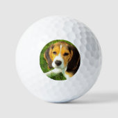 Personalisiertes Foto für Heimtiere Beagle Golfball (Vorderseite)