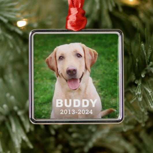 Personalisiertes Foto für Hunde-Memorial Ornament Aus Metall (Baum)