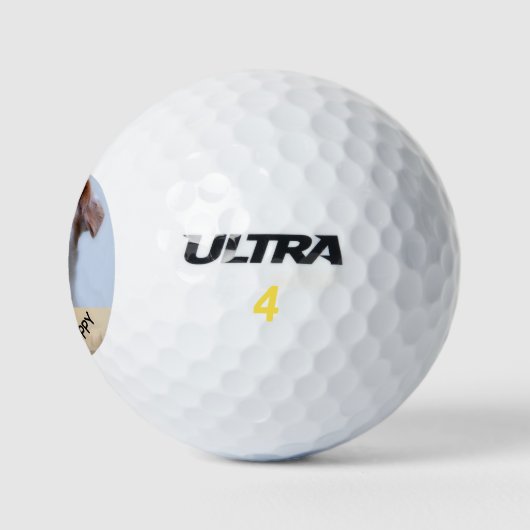 Personalisiertes Foto Haustiere Familie Golfball (Logo)