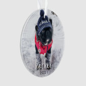 Personalisiertes Foto Hund Welpenurlaub Ornament (Vorderseite)