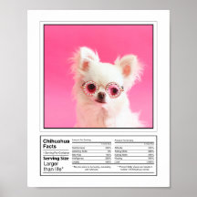 Personalisiertes Foto Hunde Zucht Fakten Chihuahua