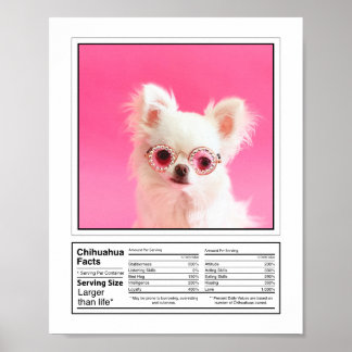 Personalisiertes Foto Hunde Zucht Fakten Chihuahua Poster