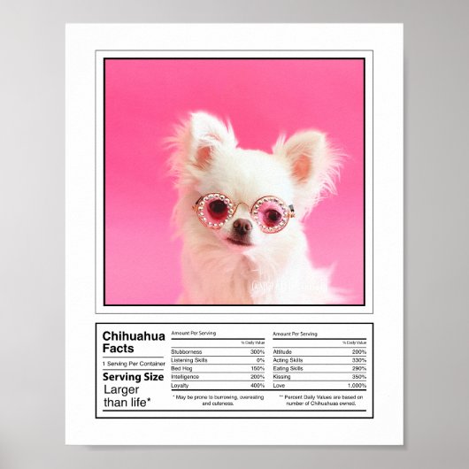 Personalisiertes Foto Hunde Zucht Fakten Chihuahua Poster (Vorne)