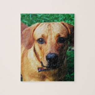 Personalisiertes Foto-Hundepuzzle Puzzle