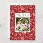 Personalisiertes Foto Kardinal Weihnachtskarte Feiertagskarte (Vorderseite)