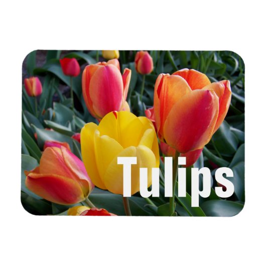 Personalisiertes Foto Magnet (Horizontal)