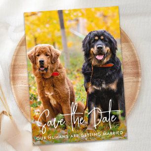 Personalisiertes Foto Moderne Kinderhochzeit Save The Date