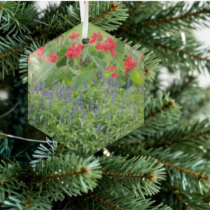 Personalisiertes Foto Ornament Aus Glas