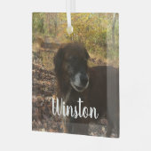 Personalisiertes Foto Ornament Aus Glas (Vorderseite links)