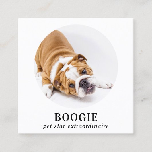 Personalisiertes Foto Social Media Hund Pet Influe Quadratische Visitenkarte (Vorderseite)