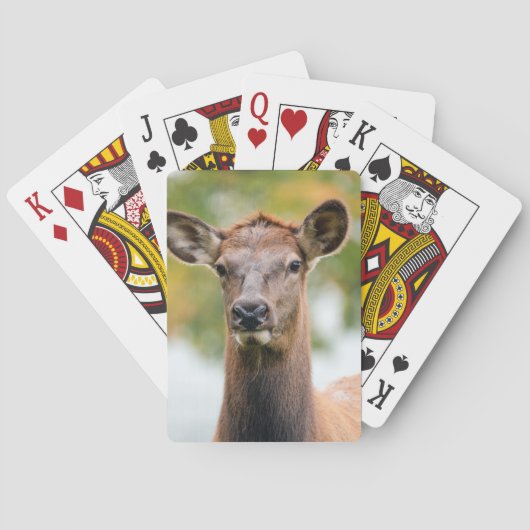 Personalisiertes Foto Spielkarten (Rückseite)