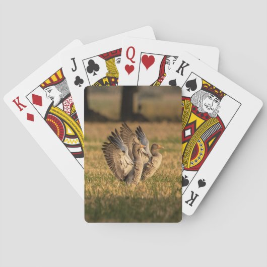 Personalisiertes Foto Spielkarten (Rückseite)