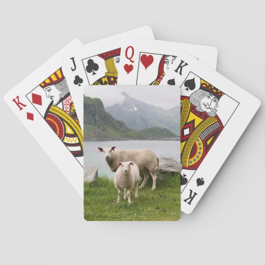 Personalisiertes Foto Spielkarten (Rückseite)