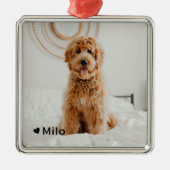 Personalisiertes Foto und Name Haustier Ornament Aus Metall (Vorne)