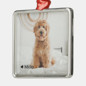 Personalisiertes Foto und Name Haustier Ornament Aus Metall (Links)