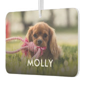 Personalisiertes Foto und Name Haustiere Autolufterfrischer (Links)