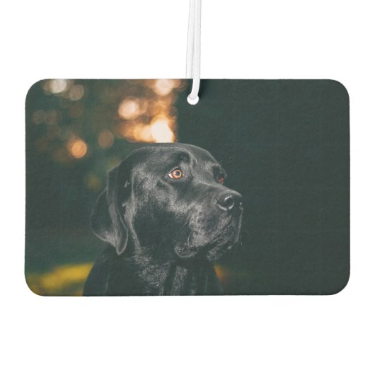 Personalisiertes Foto und Text Autolufterfrischer (Rückseite)