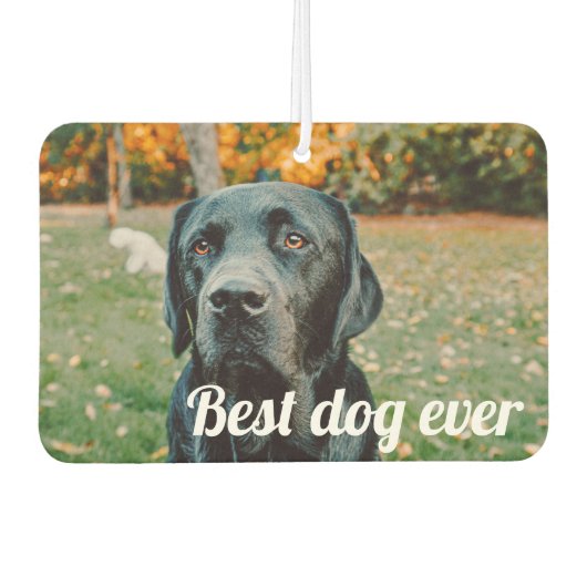 Personalisiertes Foto und Text Autolufterfrischer (Vorderseite)