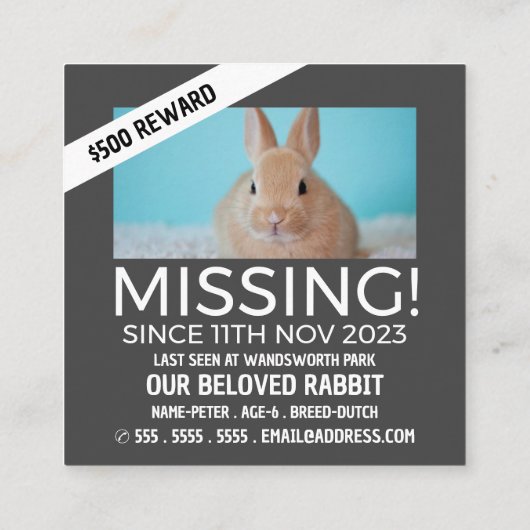 Personalisiertes Foto, Vermisst, verlorene Pet Car Quadratische Visitenkarte (Rückseite)