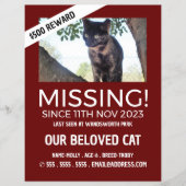 Personalisiertes Foto, Vermisst, verlorenes Hausti Flyer (Vorne)