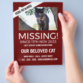 Personalisiertes Foto, Vermisst, verlorenes Hausti Flyer (Hand)