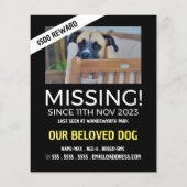 Personalisiertes Foto, Vermisst, verlorenes Hausti Flyer (Hinten)