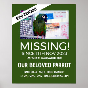 Personalisiertes Foto, Vermisst, verlorenes Hausti Poster
