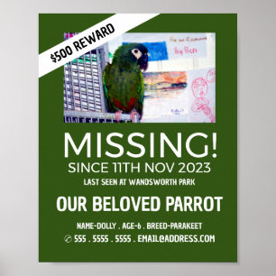 Personalisiertes Foto, vermisst, verlorenes Hausti Poster
