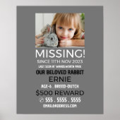 Personalisiertes Foto, Vermisst, verlorenes Hausti Poster (Vorne)