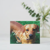 Personalisiertes Foto Vielen Dank Postkarte (Stehend Vorderseite)