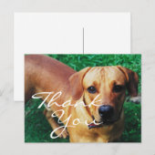 Personalisiertes Foto Vielen Dank Postkarte (Vorne/Hinten)