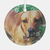 Personalisiertes Foto Weihnachtsbaum Ornament Aus Glas (Vorderseite)