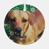 Personalisiertes Foto Weihnachtsbaum Ornament Aus Glas (Rückseite)