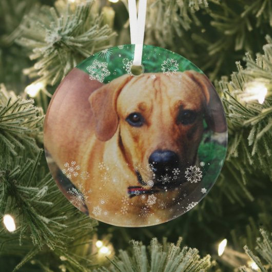 Personalisiertes Foto Weihnachtsbaum Ornament Aus Glas (InSitu)