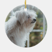 Personalisiertes Foto zum Zeichnen von Pet-Memoria Keramik Ornament (Hinten)