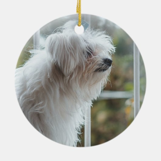 Personalisiertes Foto zum Zeichnen von Pet-Memoria Keramik Ornament (Hinten)