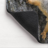 Personalisiertes Fox-Eichhörnchen auf einem Baum Mousepad (Ecke)