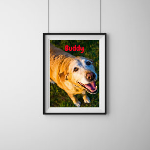 Personalisiertes Gedenkfoto-Poster für ältere Hund Poster